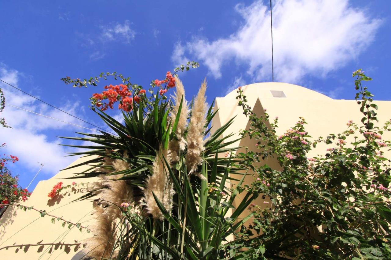 Ersi Villas Fira  Extérieur photo